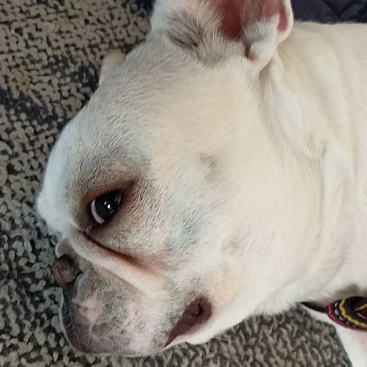 Dcfbabc0 ef3e 4f8e 84ae 87e9ba195da3 1650342177825