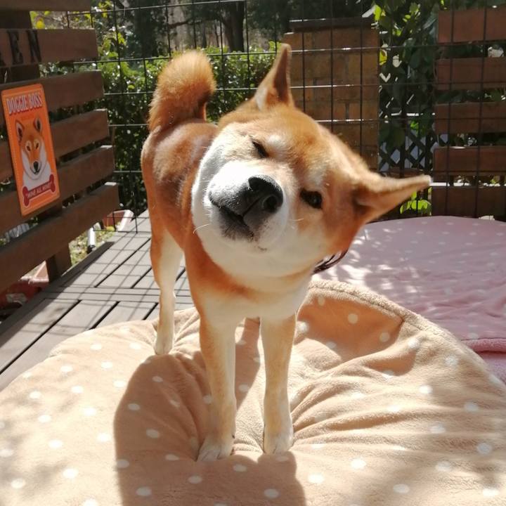 Dcfbd9fe d37f 410a 9164 e8d88e7668e2 1646621435777