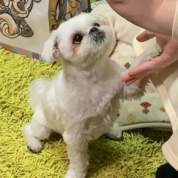 Dcfbfbdb 9ad6 4ffa a056 65bb5bef2cd3 1676126121668