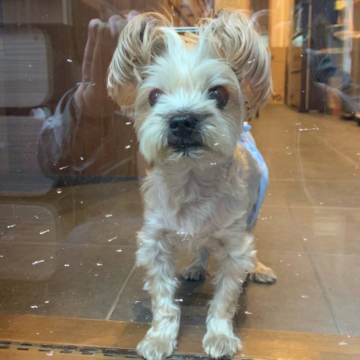 Dcfc0712 b2bc 4acc 9eb2 580bae5a170e 1560600362298