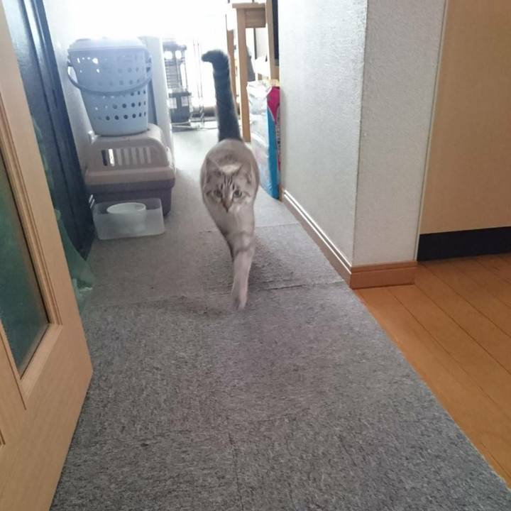 Dcfc0d5f 8d01 43ee 93e1 e4fce77218e2 1509073711446