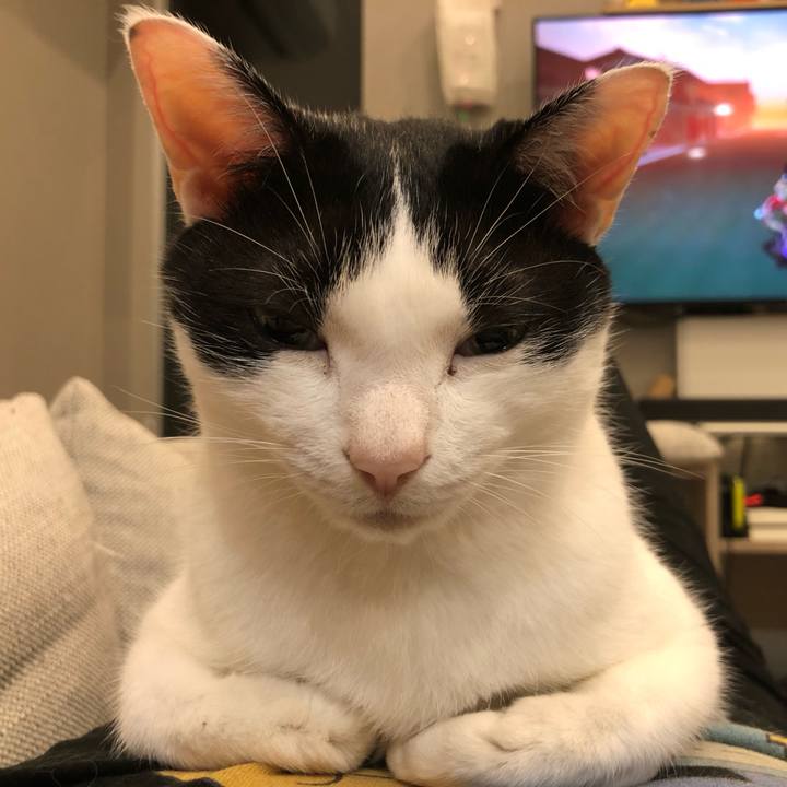 Dcfc1596 d324 4213 91ee 6860be03b7b8 1657096939971