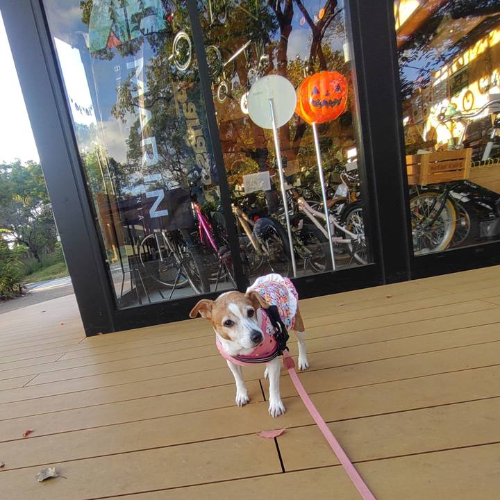 Dcfc4bb3 35c1 4078 8570 a50175a4b657 1761699547016