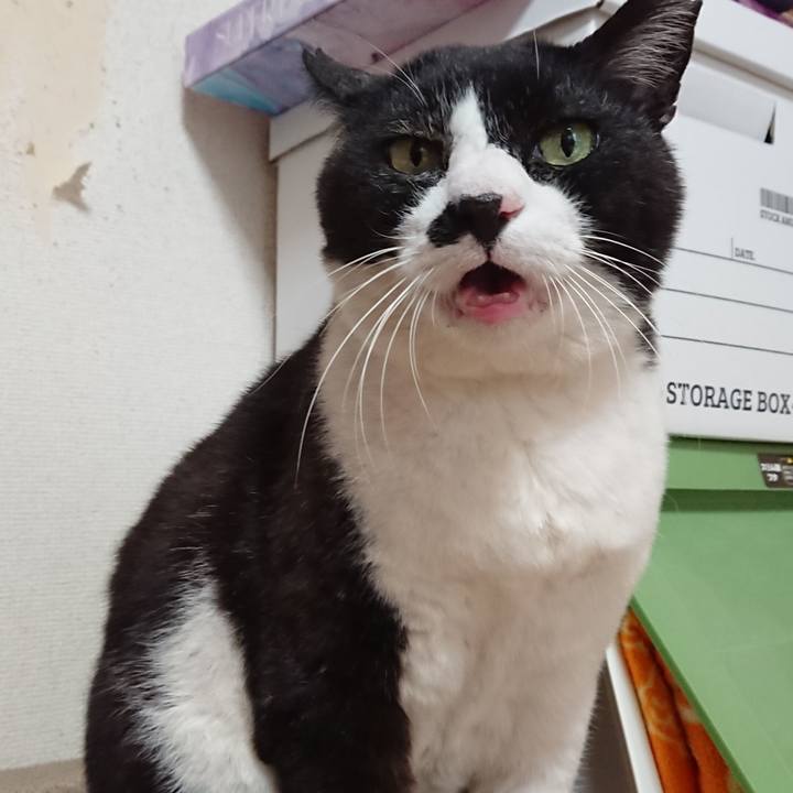 Dcfc6119 c802 4814 8192 4f93390ffea4 1635044164814