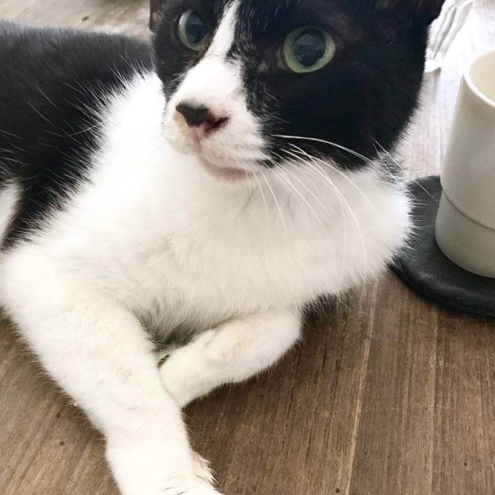 Dcfc789e 13bb 44f9 be95 d536d885e7cf 1507690953039