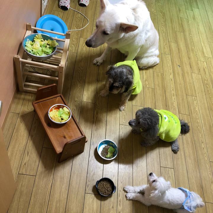 Dcfccdb6 5487 4be7 bd69 266eaa1728d7 1550842057999