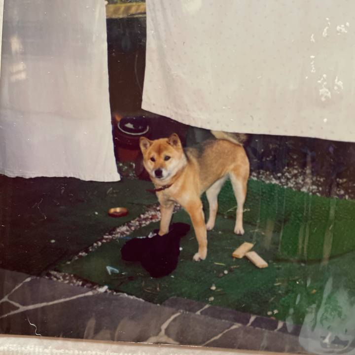 Dcfce58d 6b2b 42e3 9aa4 5e66d2a922ec 1661920963087