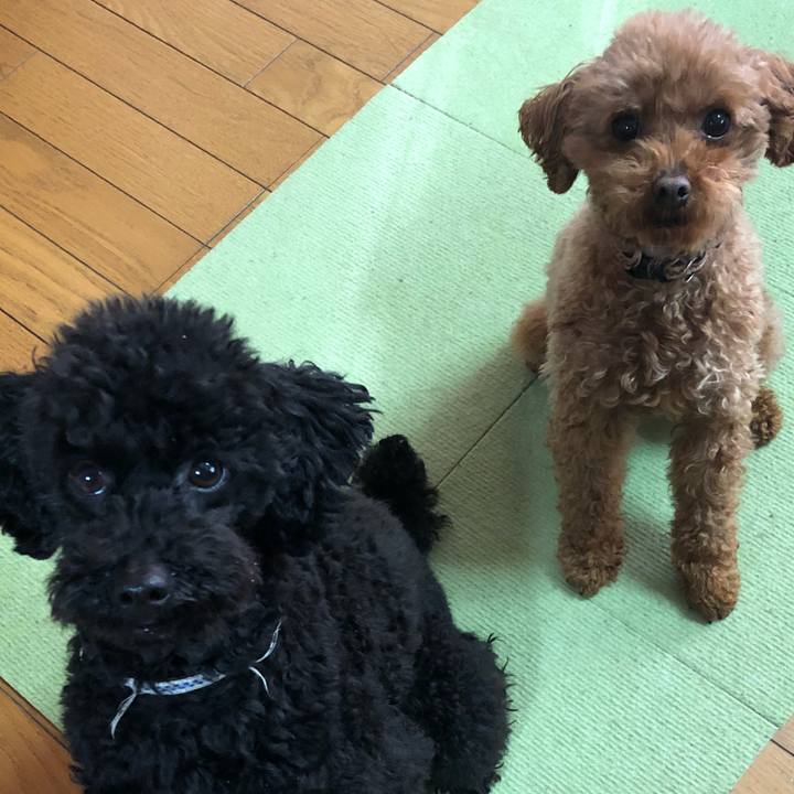 Dcfd050b 98b3 42a4 8e08 7b11ee37d82b 1552429224995