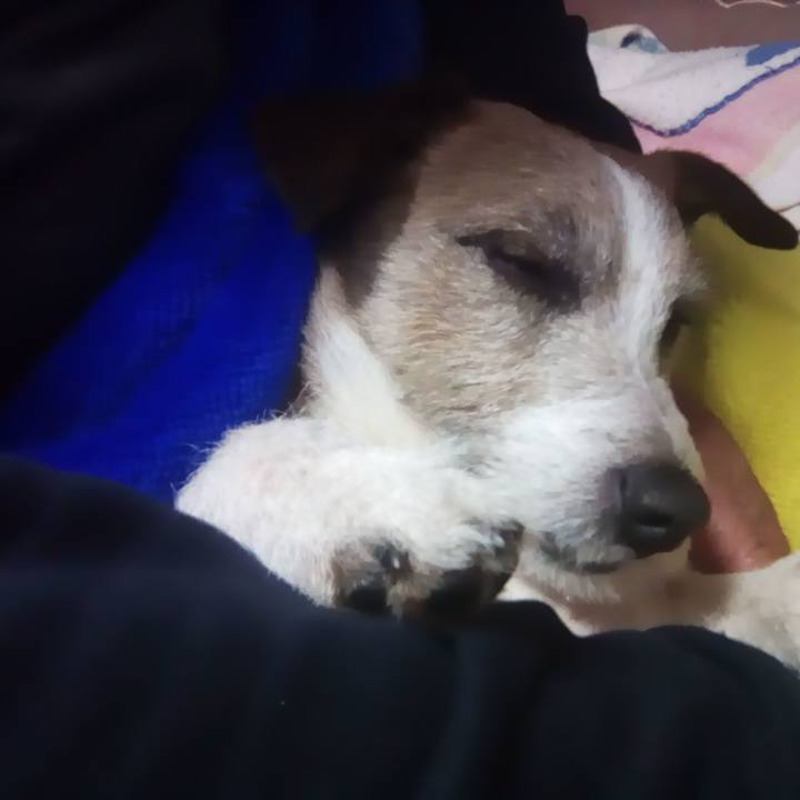 Dcfd19c0 36f2 48dd 890c b02d7a21ba66 1510666026561