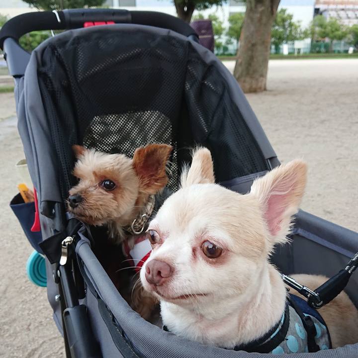 Dcfd20a1 db8b 4bc2 b95e 09209742df29 1564058750910