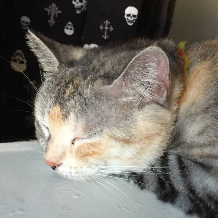 Dcfd6e72 7681 4ff4 824f bc67d2472ecb 1569914039781