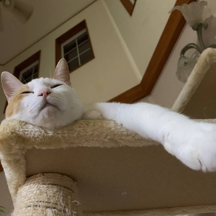 Dcfd84a3 8728 42b7 b4e6 fa923ef0a9f6 1668433283099