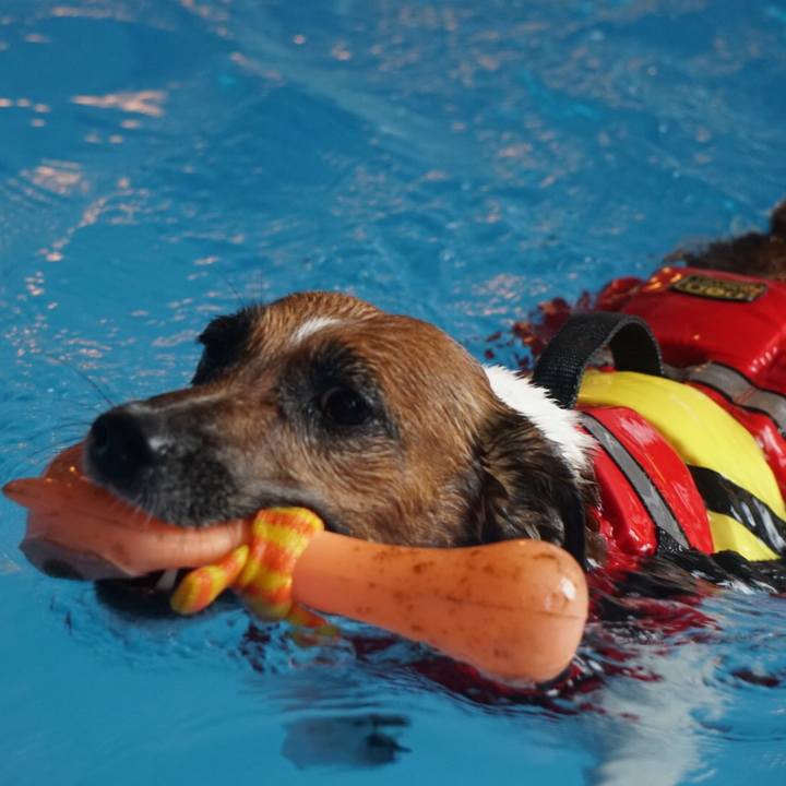 Dcfdd64d b7c6 4525 8001 db6ca0e2ad6e 1535409680433