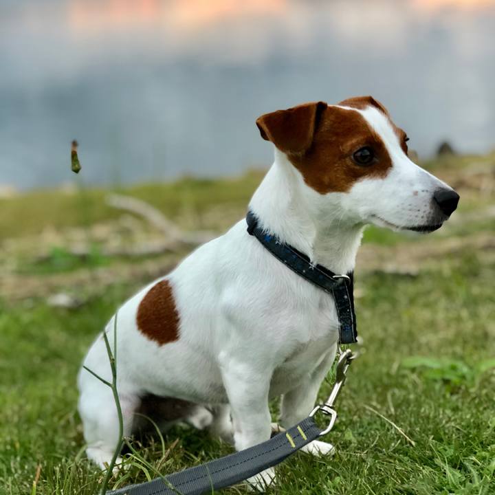 Dcfe8b7a fb21 42d7 98ab 19d6c520beaa 1541406855125