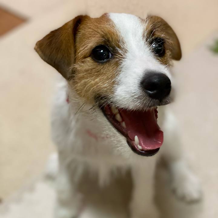 Dcfed9bc 5f37 4e22 8f3d 336c8904161d 1629468802141