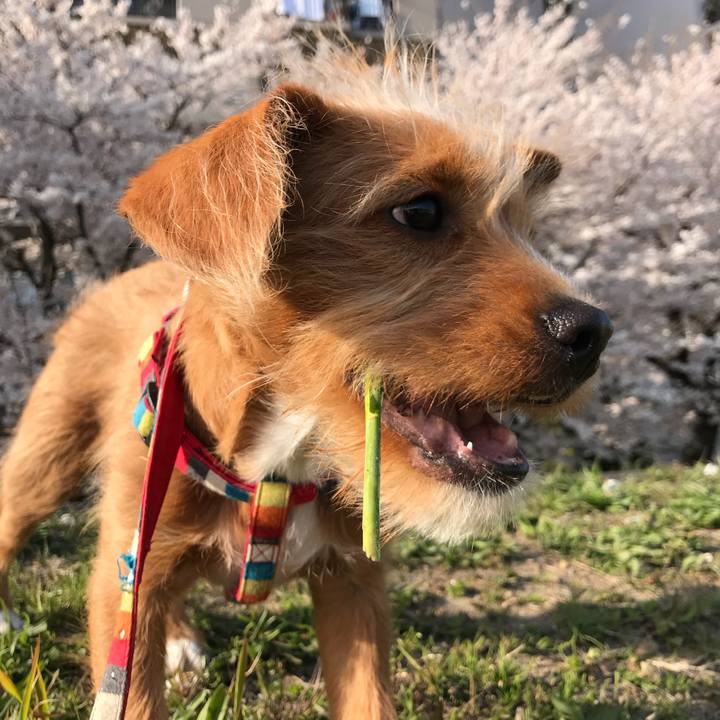 Dcfef9dd 0fac 4c6a bdb0 6aee30e8e324 1523399634393