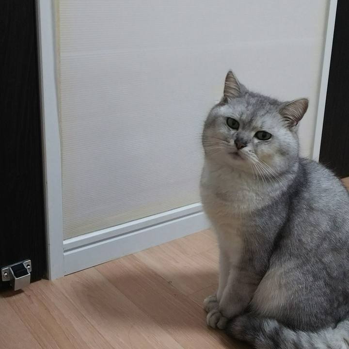 Dcff1de0 df50 4fd8 8d5f 361a8933a15d 1516454577109