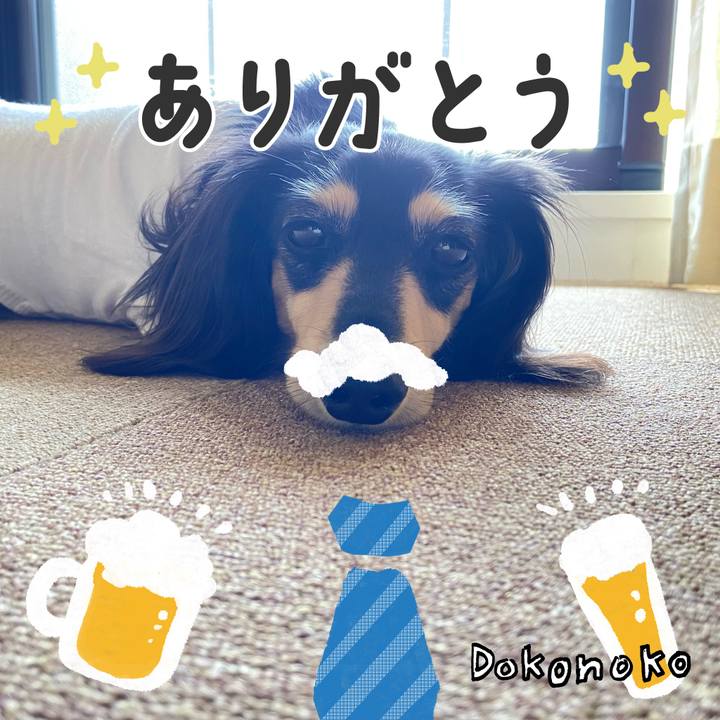 Dcff26b6 b8e9 49f5 8d2a f2488ec008bb 1717641843918