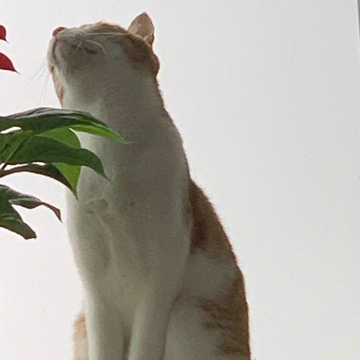 Dcff57af af16 44bd 9aa4 2b2b819984ac 1574488044152