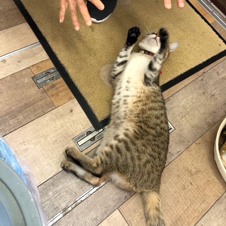 Dd0009ea 1207 42f2 b75f 364421f532dc 1613884753234