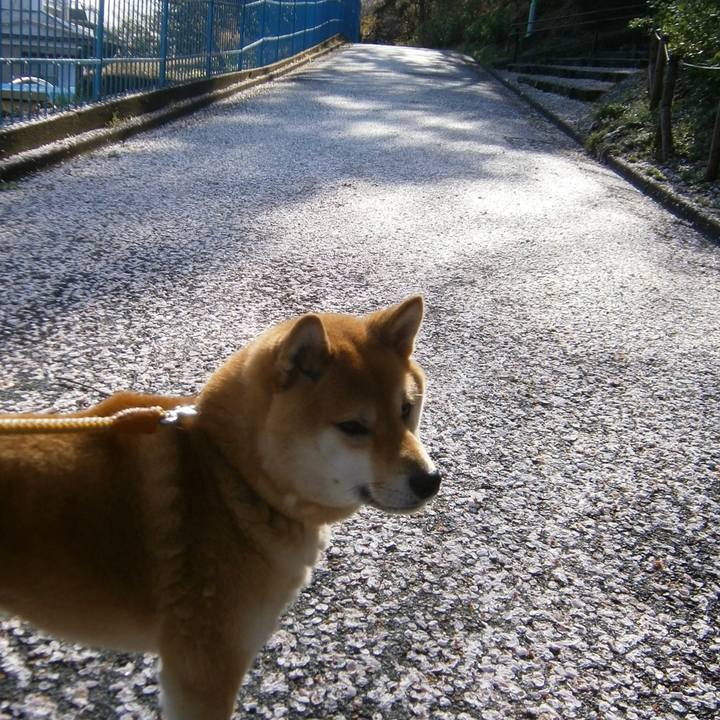 Dd00386b 92b7 40df 9664 c2d650370e52 1617178826877