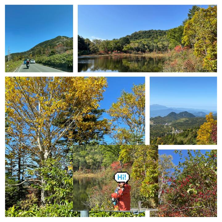 Dd007a1c 7e9d 4c19 874c dfed9dad3d3e 1633339721228