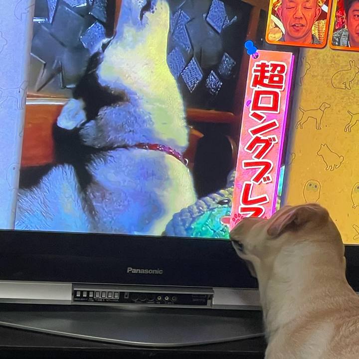 Dd009d0d b5eb 41af 8e3c 0f6abbd62563 1643372282656