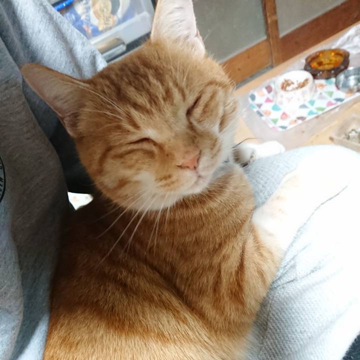 Dd00ac57 f35e 499c 8a45 22d4c950e743 1605943498637