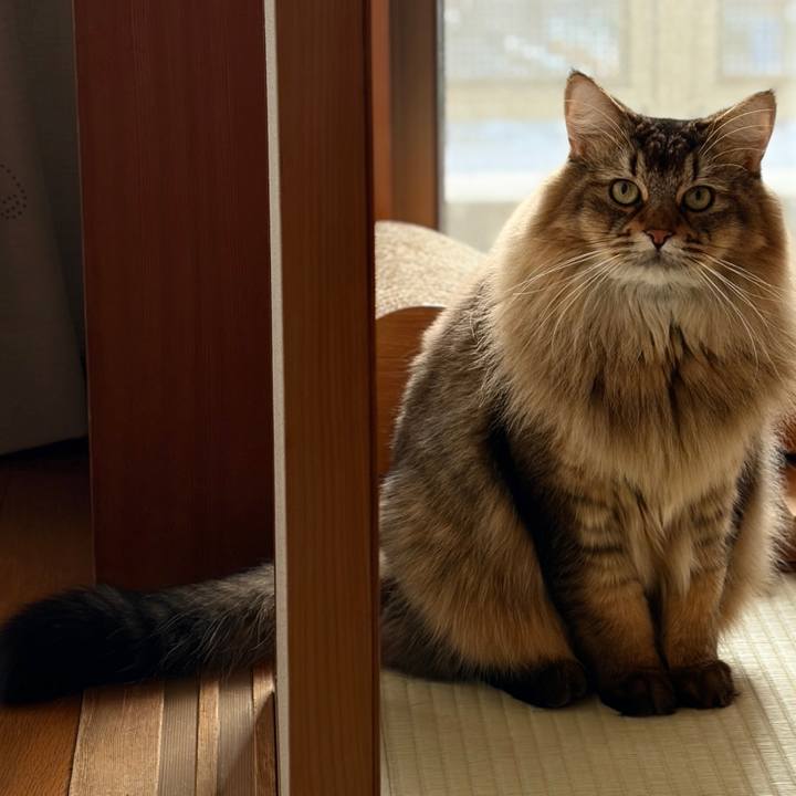 Dd00b3e3 e023 4514 bfc6 a462ae3cecc2 1765582238689