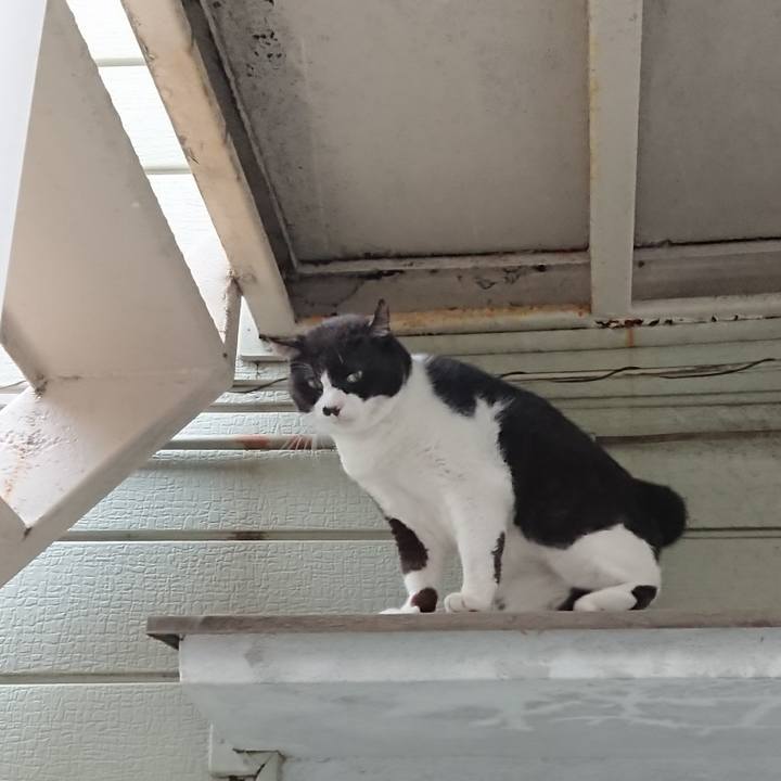 Dd00c8a0 141d 4b13 b318 b19abb5d0864 1628922102217