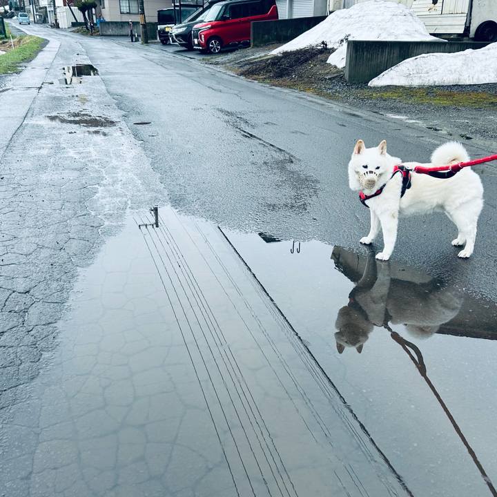 Dd00dfbc 4b6c 4414 ac91 922943e5a263 1713392738683