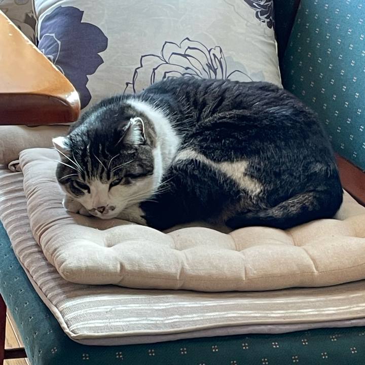 Dd00ff58 8ff9 4aa2 8b50 d23f99ef5716 1676720871648