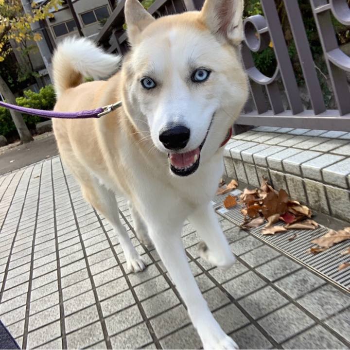 Dd011001 2672 4406 91ed c1b1e4fbb03b 1543097227787