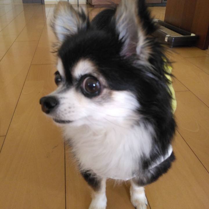 Dd01309a 867d 4f49 86db bbcdc64d9168 1766325596691