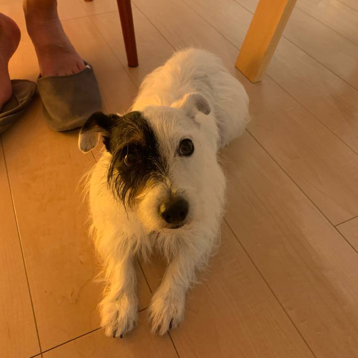 Dd01385f f63f 4f61 b46a 88915f9b7a71 1629973282131