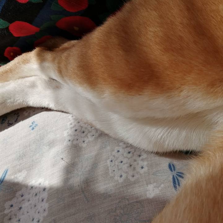 Dd0175cb a94d 4fa4 b27e dd7056d5121d 1582086715806