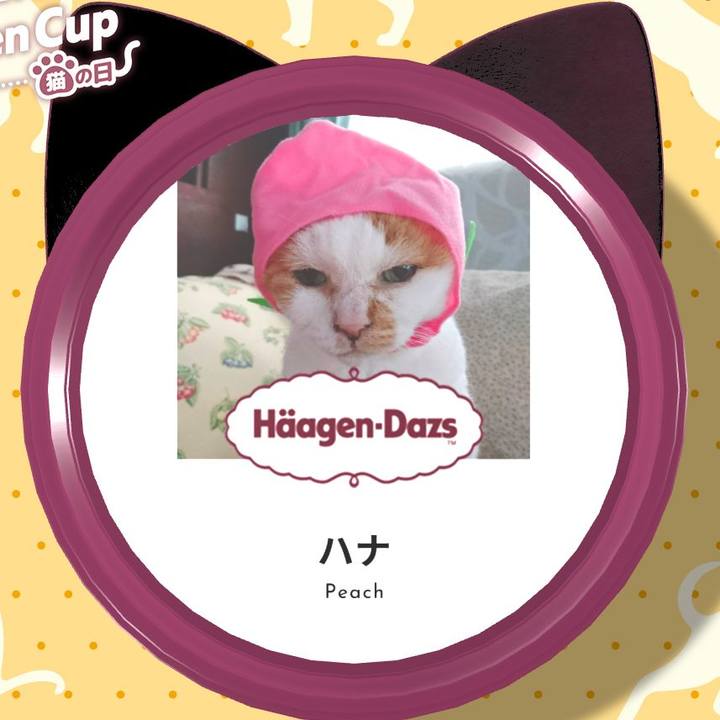 Dd01b346 072a 460a b956 ff6332cb6da8 1708680684074