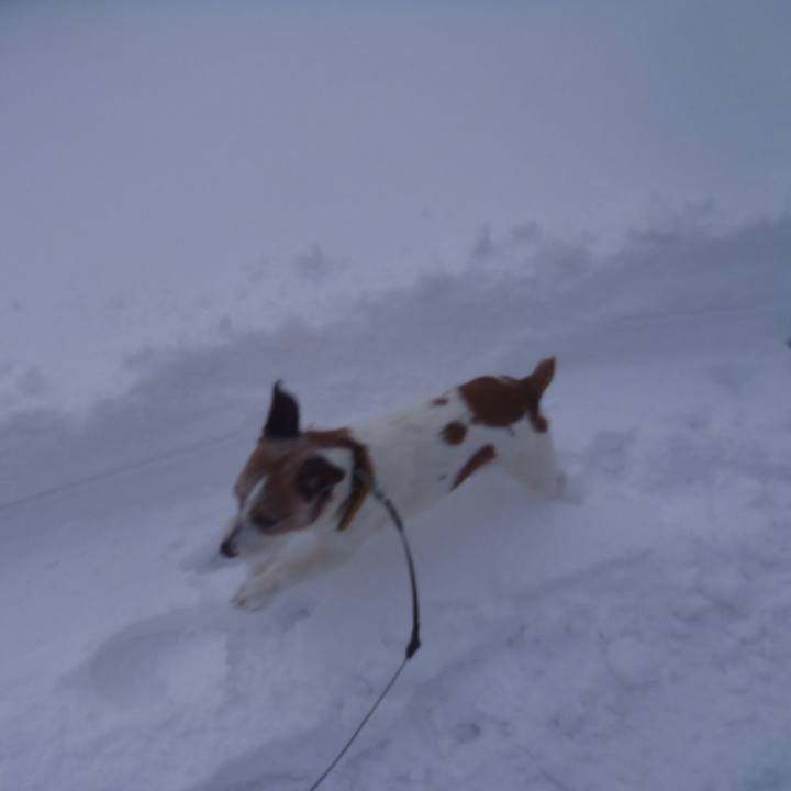 Dd01fcac 1074 4cfc a15a 3da9dc589bc1 1518347364892