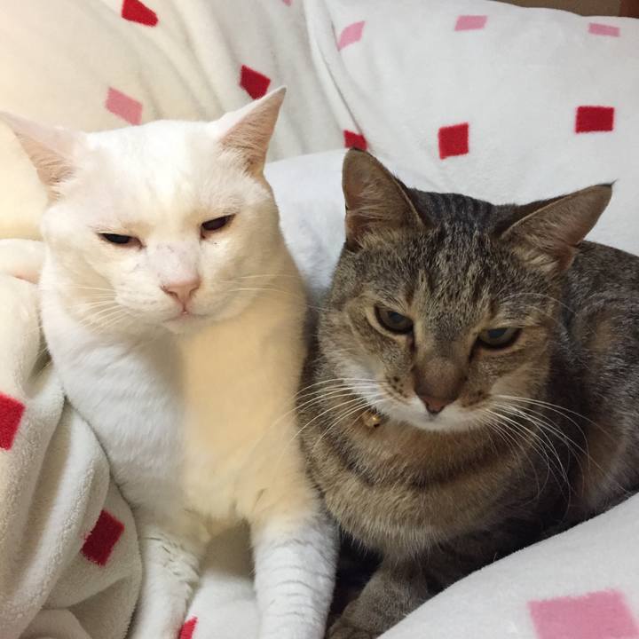 Dd020aac 63e5 4c23 8b74 3bc51dce6ce0 1542230769474