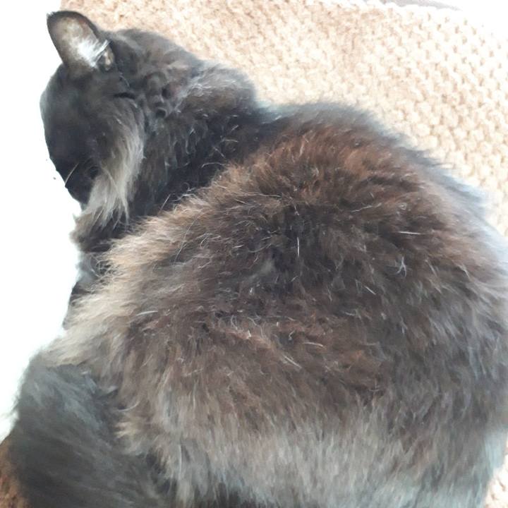 Dd021b8d 3106 48f5 9ebc ced6b4ac2333 1518681973693