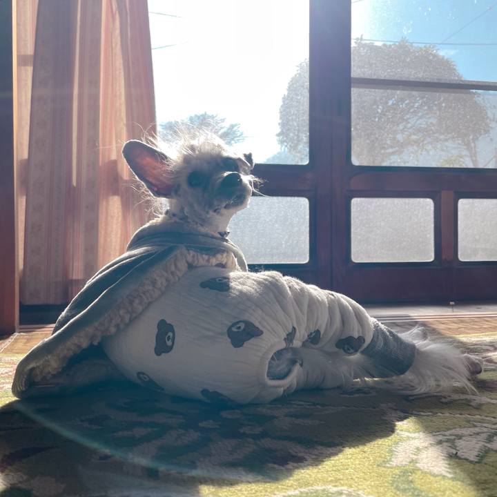 Dd022c26 2ea4 4a19 ae74 441e60722170 1766979846681