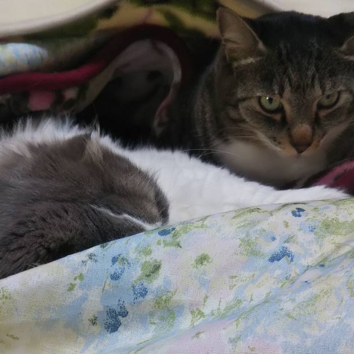 Dd024d41 406d 41b1 ab46 ce41f503b35a 1641221126537