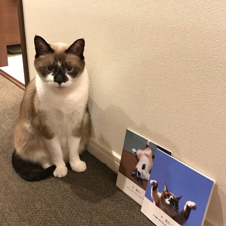 Dd026f26 aa7f 46bc 97b0 976a17ff9b33 1533383879853