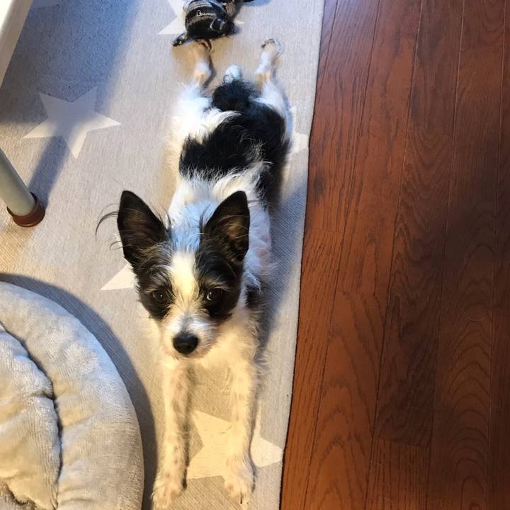 Dd02d4a7 dbc3 4f5d 9e59 c38da5ca816e 1553427421609