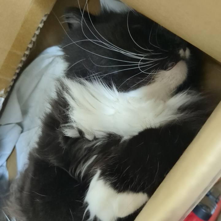 Dd02e59c f511 4935 a769 eed8accfedfe 1747876001201