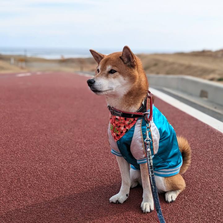 Dd02e886 4d4b 45a8 a546 11485c829978 1707701782882