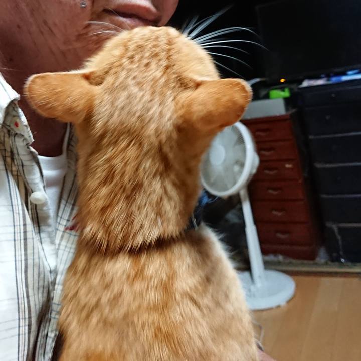 Dd02f3ec 56c6 4a13 9a44 1c3568ae0f00 1601066687783