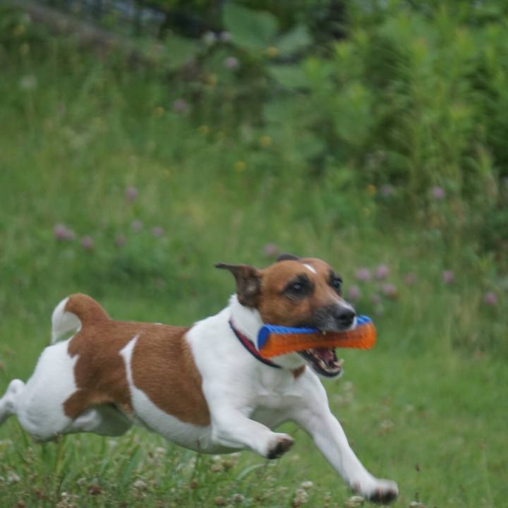 Dd030b6c 1b23 4450 a150 d43bf0fb3158 1528930873151