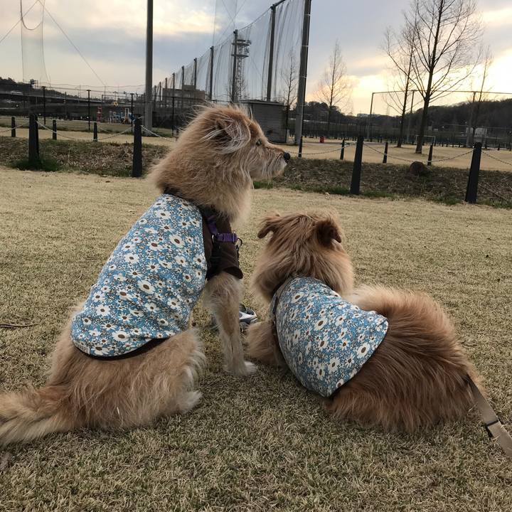 Dd033e7a 7562 4657 8858 7c077ee2bc73 1552811831676