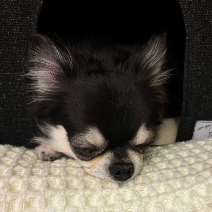 Dd0342e1 b66a 4a48 b110 39839675804d 1732378407511